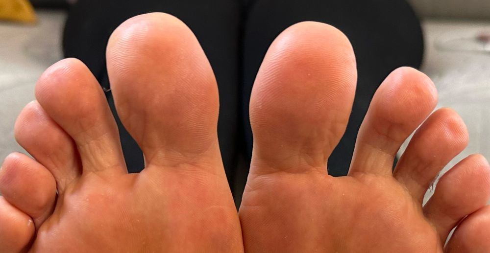 slyfeetwife OnlyFans profile picture