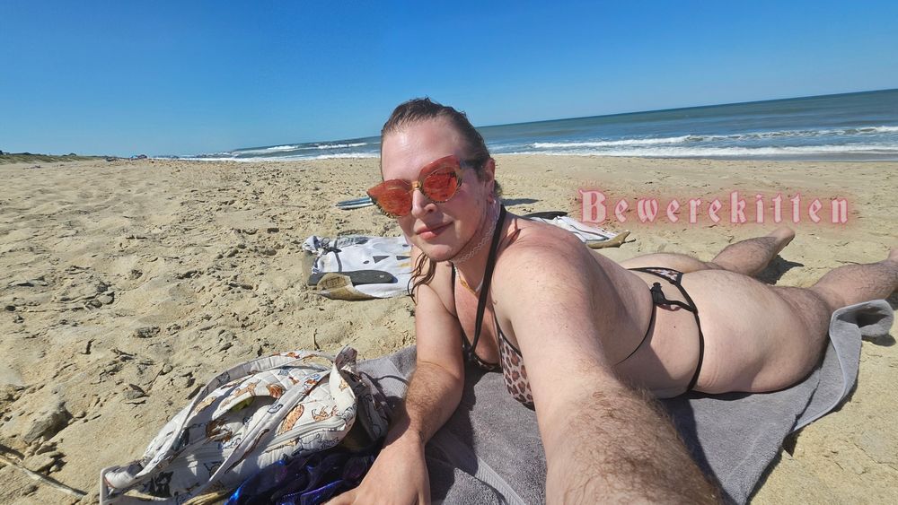 bewerekitten OnlyFans profile picture