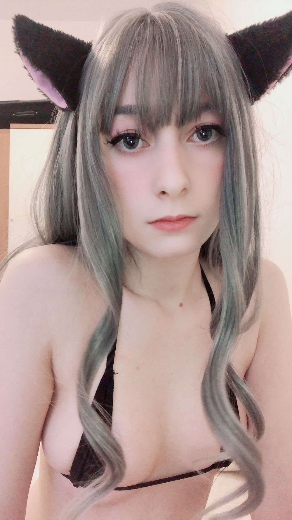 poisonedmeatbal OnlyFans profile picture