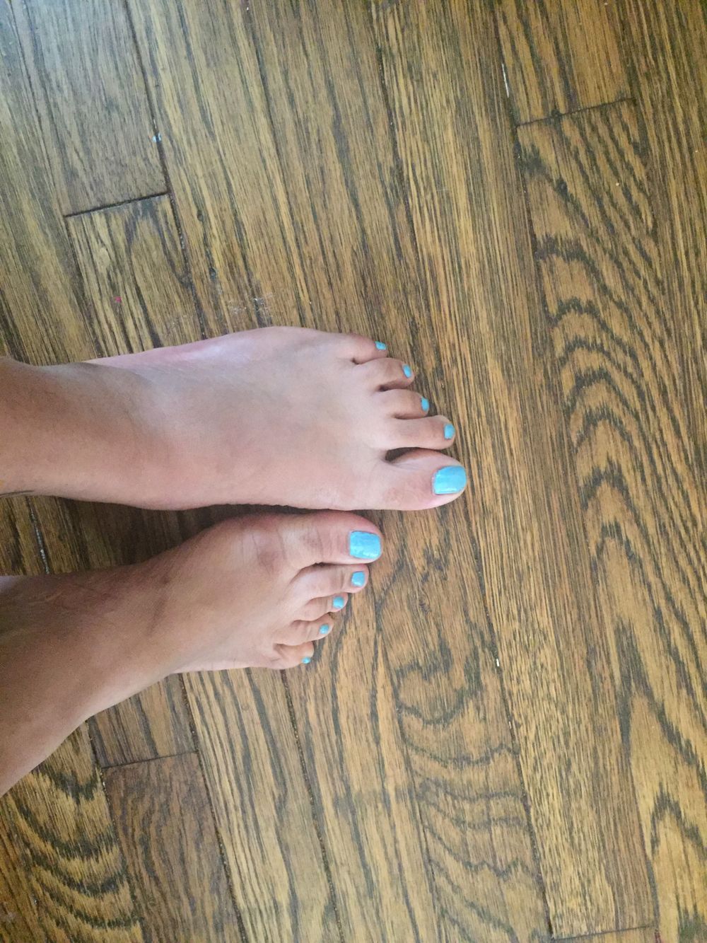 shanniekissesxoxo OnlyFans profile picture