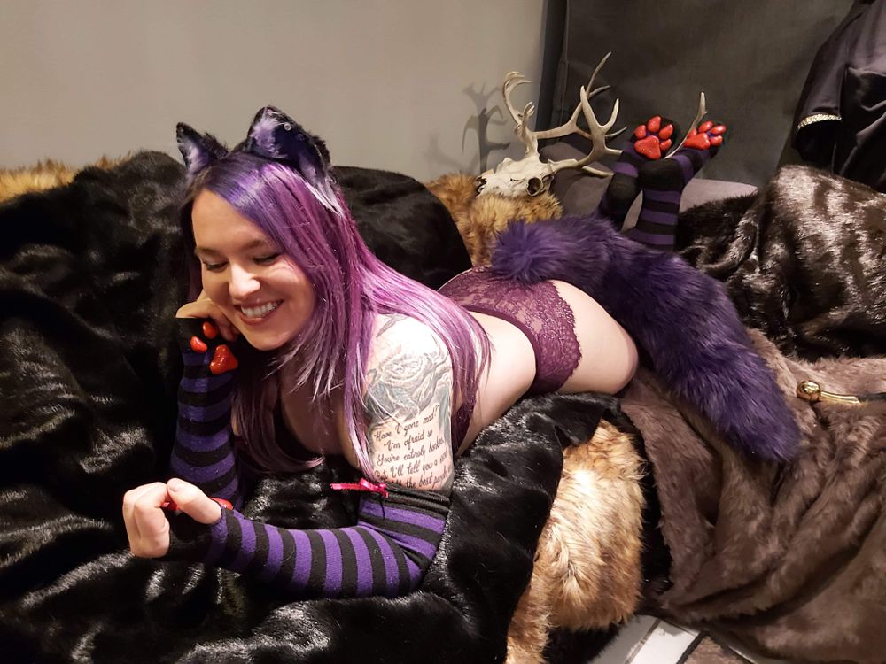 kibblesnbits OnlyFans profile picture