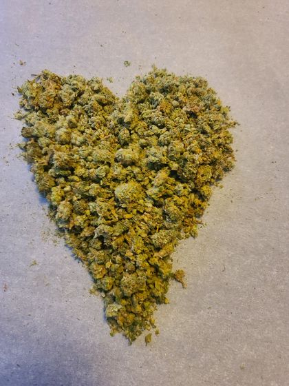 the_weed_man OnlyFans picture