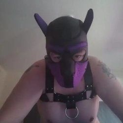 pupmicky OnlyFans picture