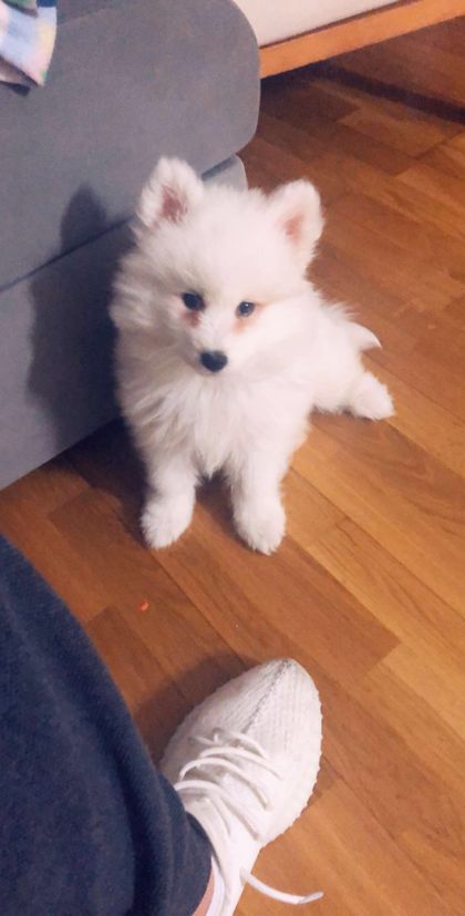lunuwu OnlyFans picture