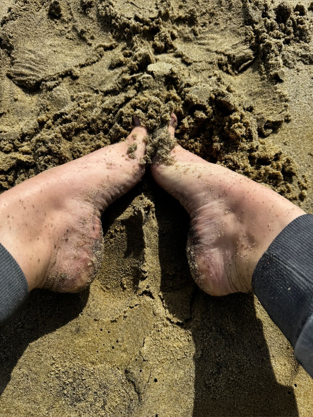 sincerelysocks OnlyFans profile picture