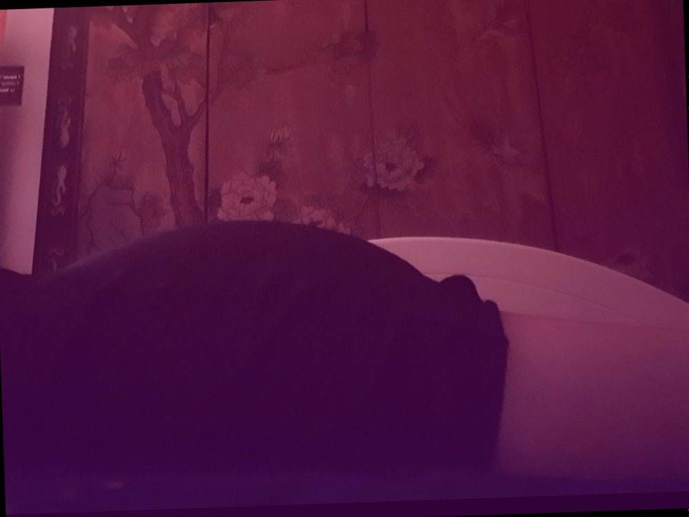 cloudyourmind OnlyFans profile picture