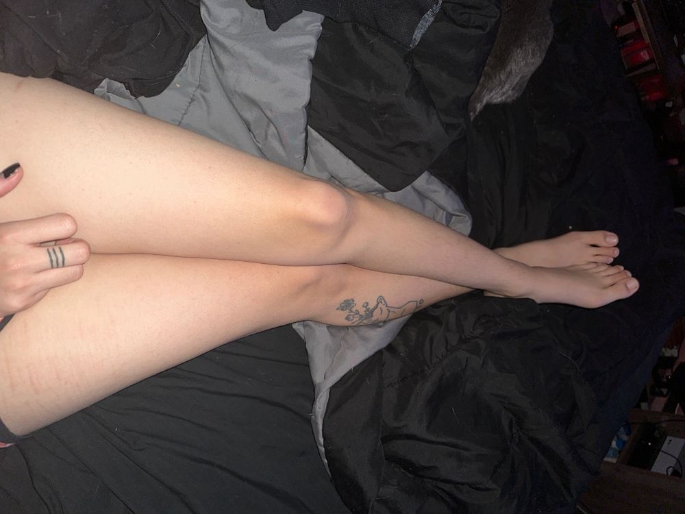 elfindear OnlyFans profile picture
