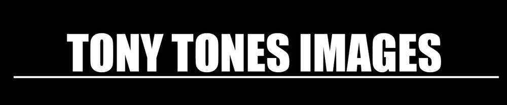 tonytones OnlyFans profile picture