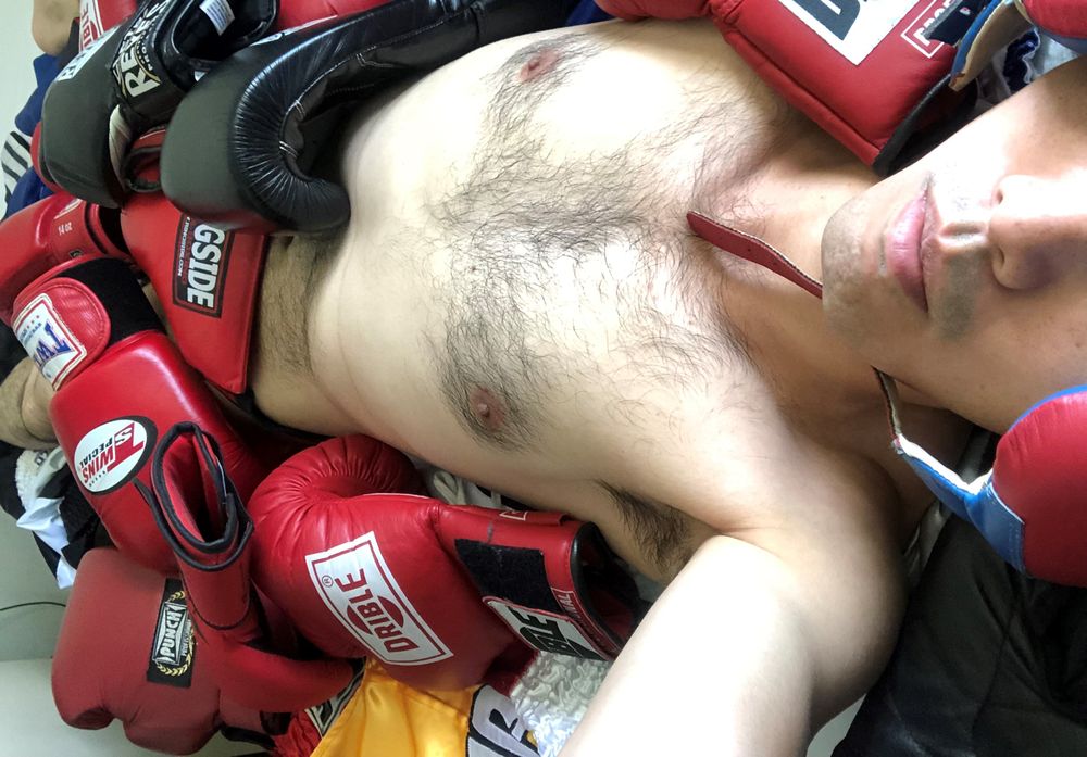 joeboxerbr OnlyFans profile picture