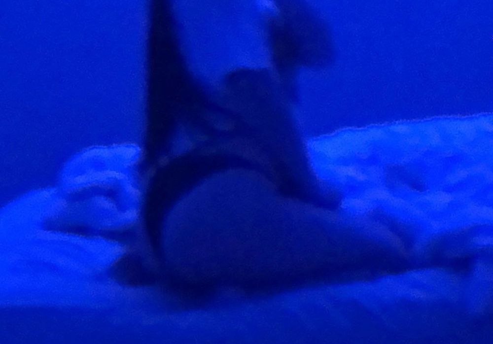 u219449522 OnlyFans profile picture