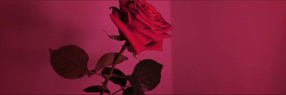 foreignrose415 OnlyFans profile picture