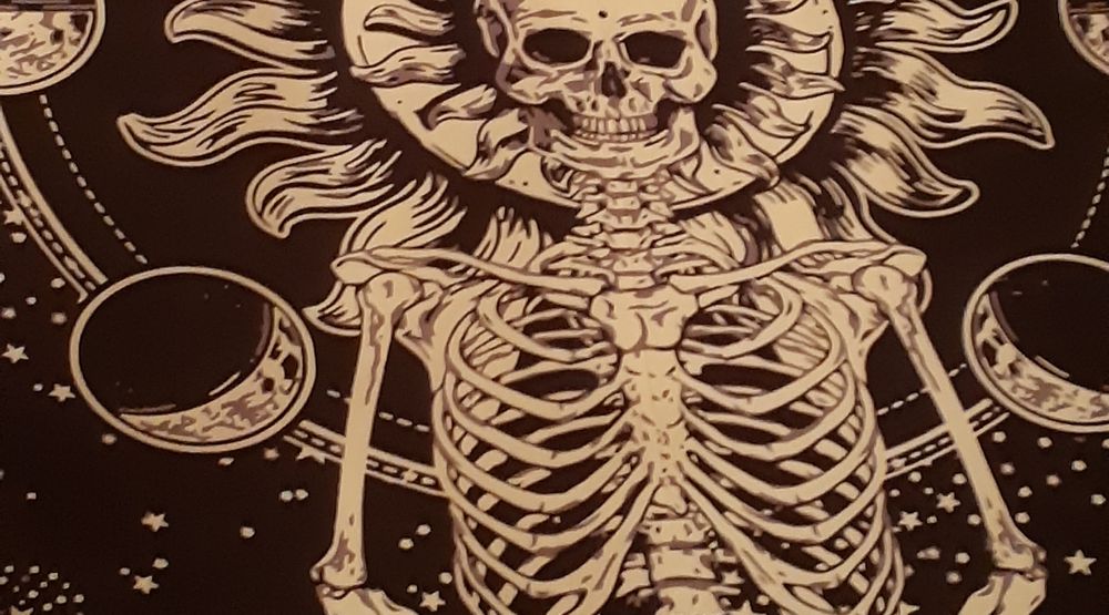 strangeannamaul OnlyFans profile picture