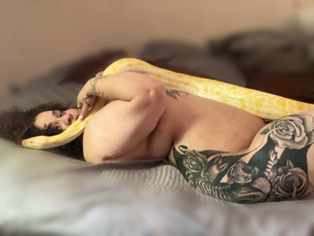 officiallylamedusa OnlyFans profile picture