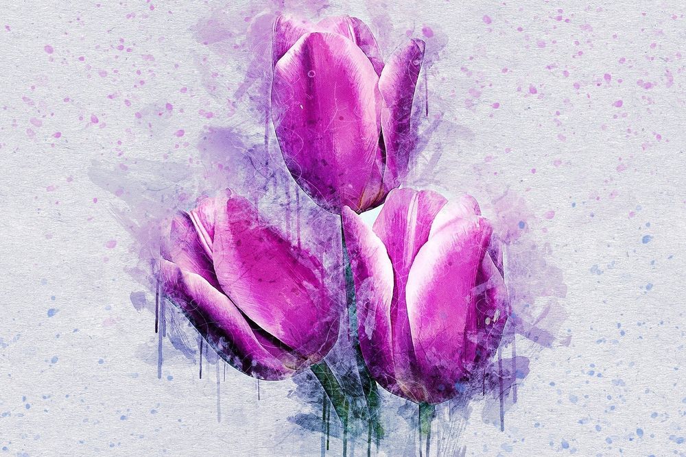 tuliptentation OnlyFans profile picture