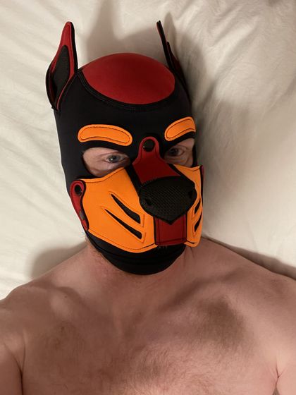 acciopup OnlyFans picture