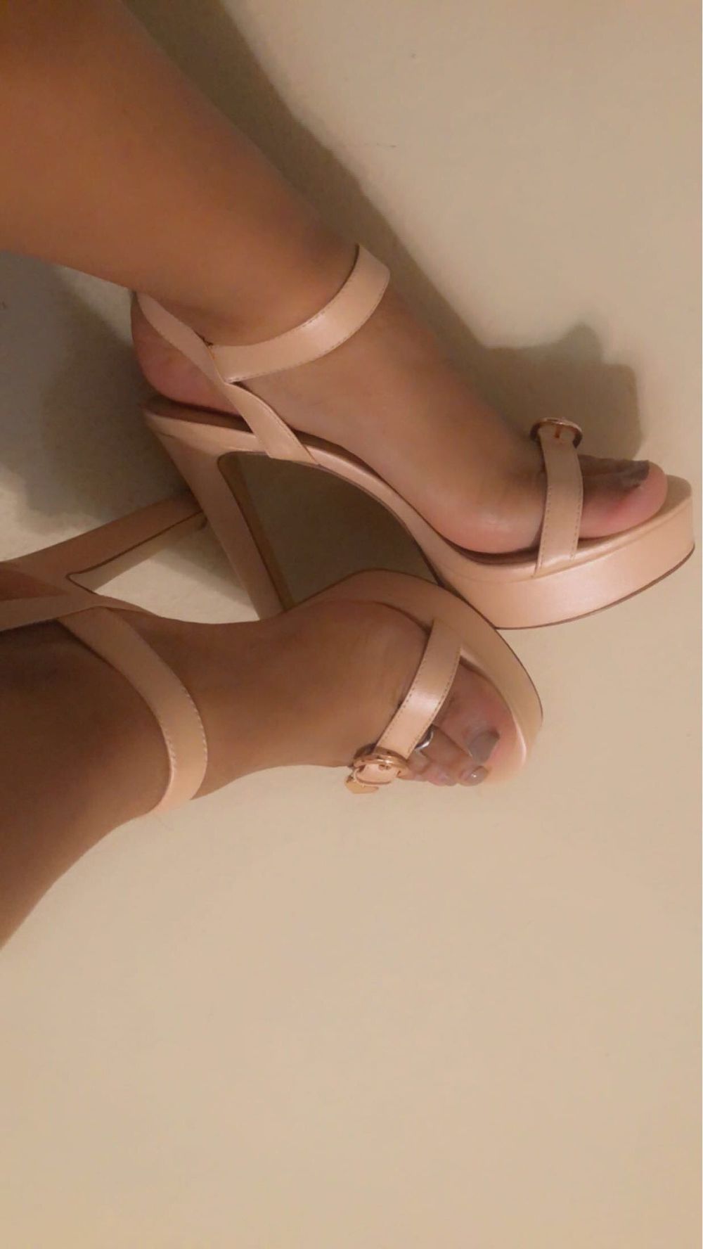 lesgoddess OnlyFans profile picture