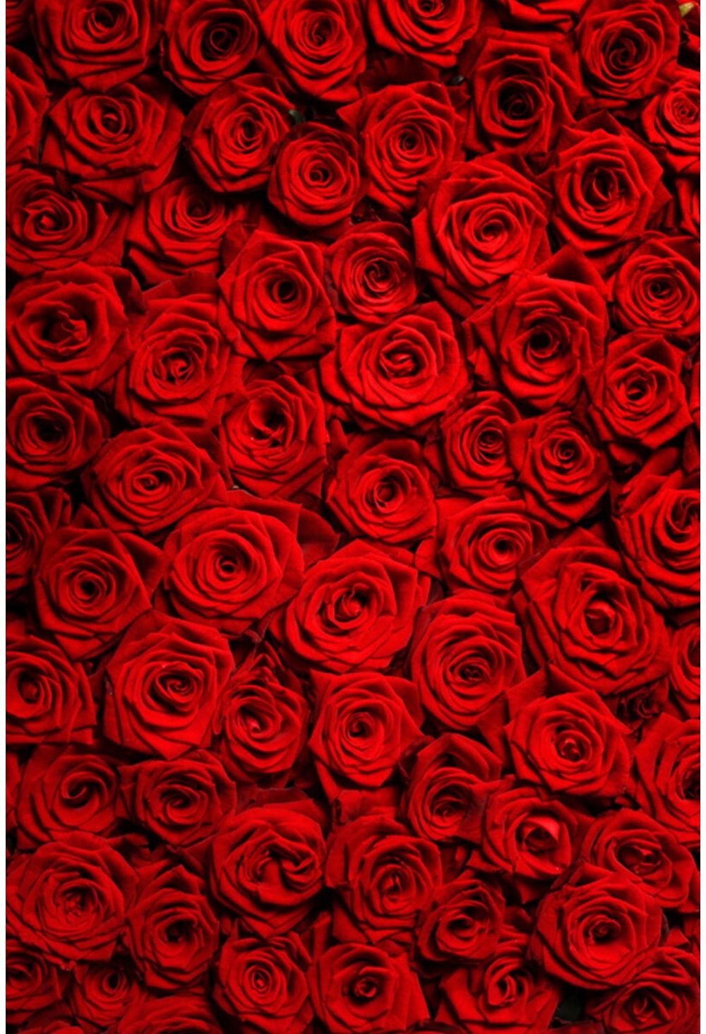 u57196452 OnlyFans profile picture