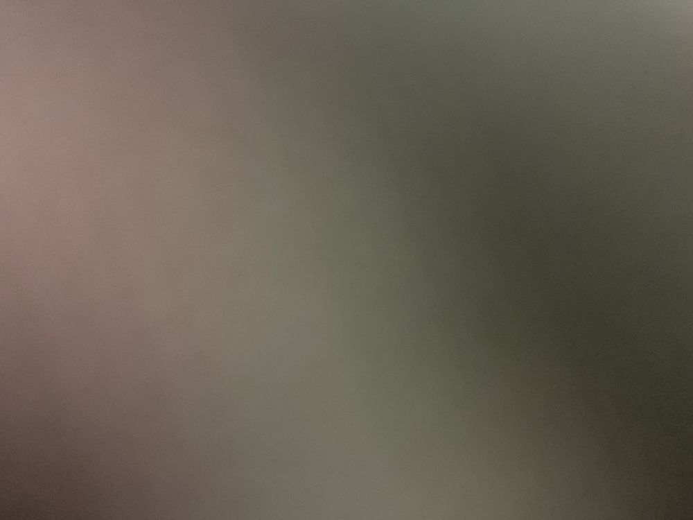 willadelphia OnlyFans profile picture