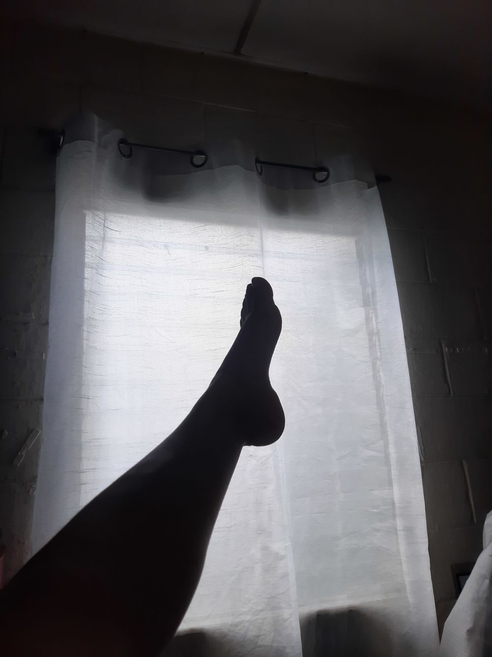 u174506262 OnlyFans profile picture