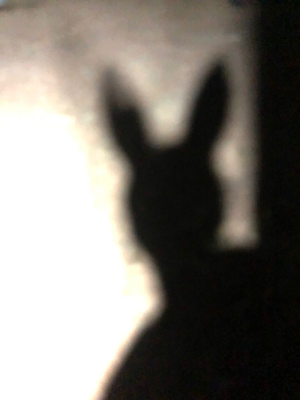 theprofessionalgoddess OnlyFans profile picture