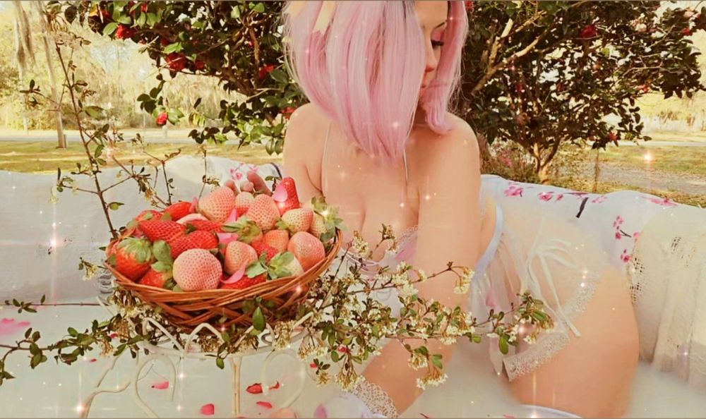 elvencynic OnlyFans profile picture