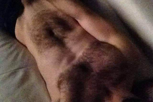 jizzlejuicemaster90 OnlyFans profile picture
