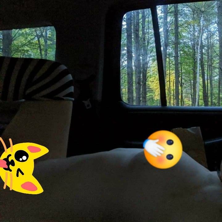 potatoslxt OnlyFans profile picture