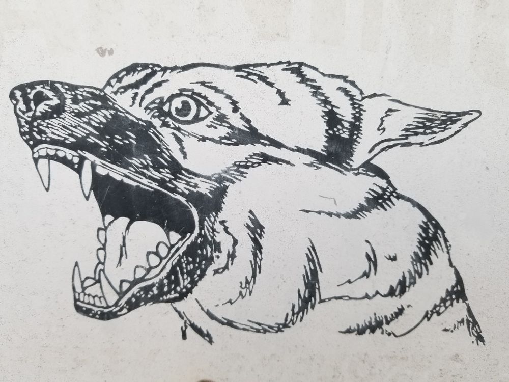 napalmdeath89 OnlyFans profile picture