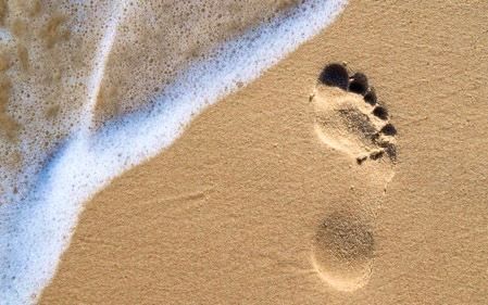 myhiddenfeet OnlyFans profile picture