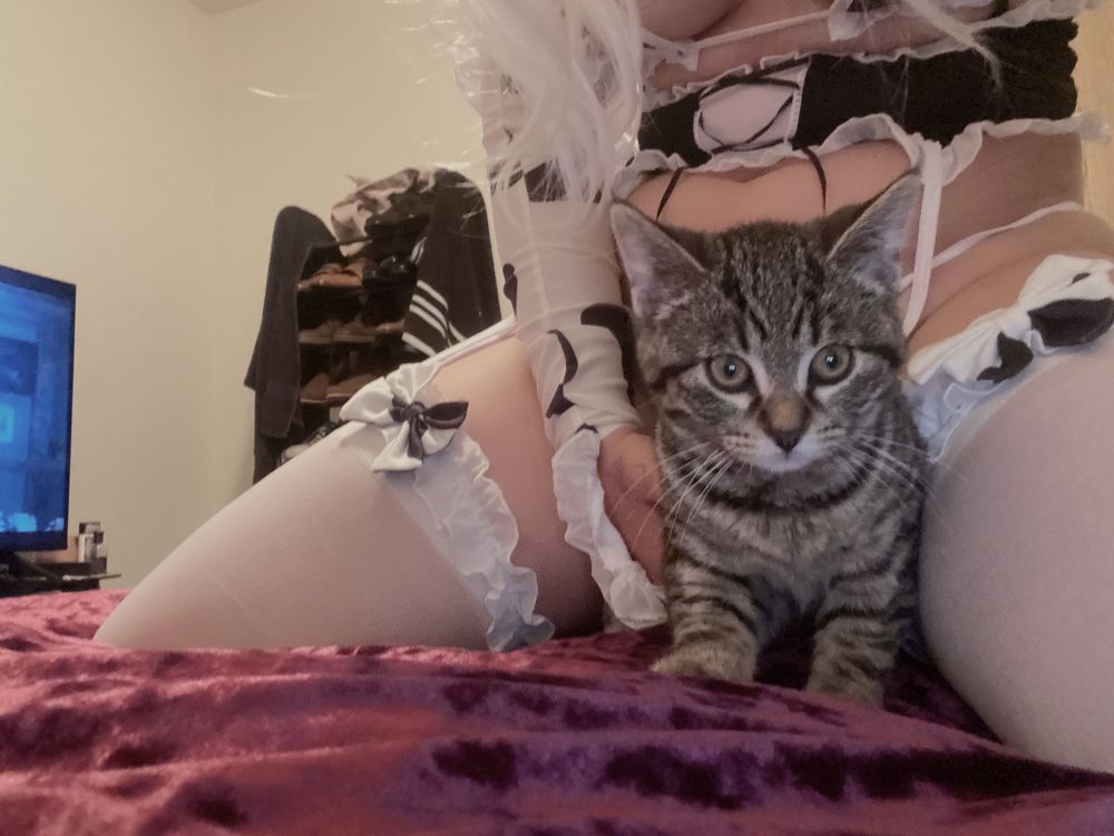 apeachy OnlyFans profile picture