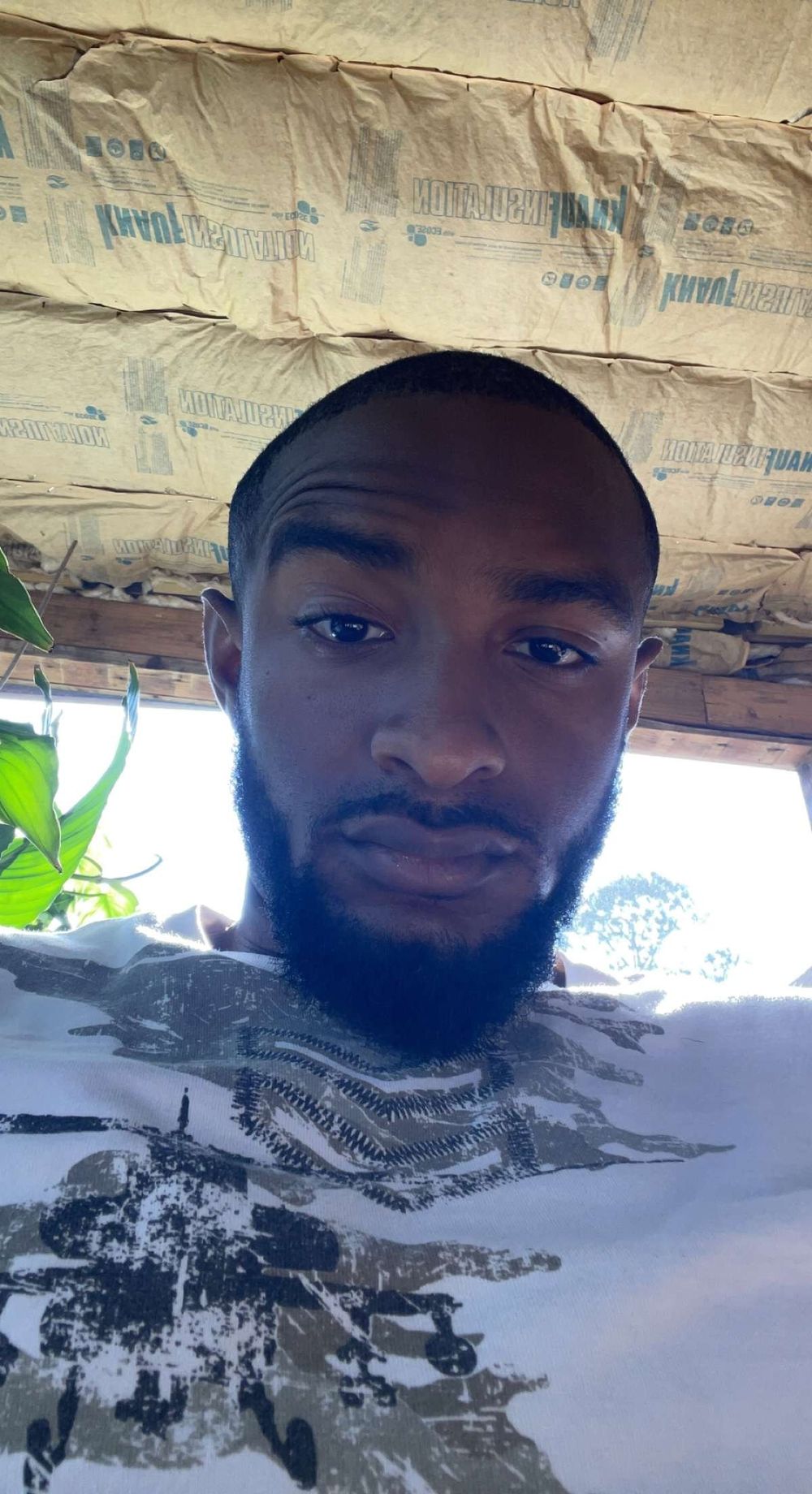 theisraeleffect OnlyFans profile picture