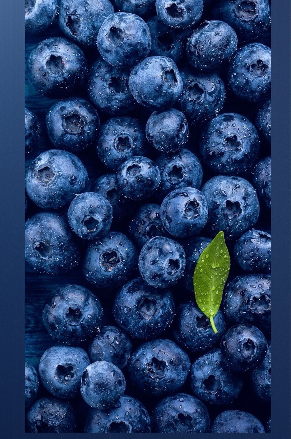 blueberrybooooti OnlyFans profile picture