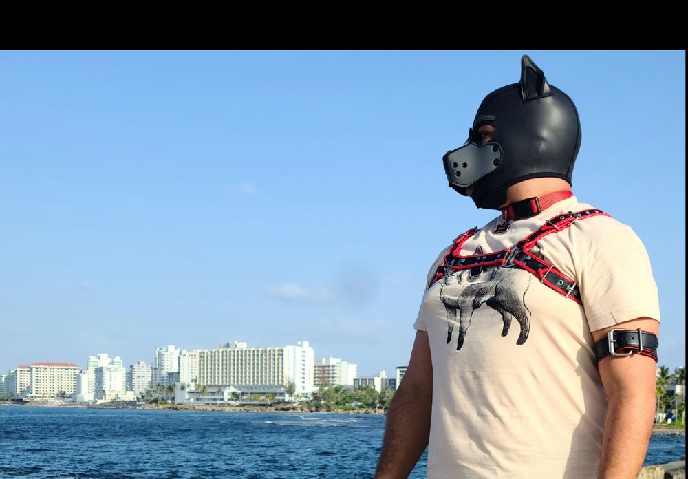 lycan_papi OnlyFans profile picture