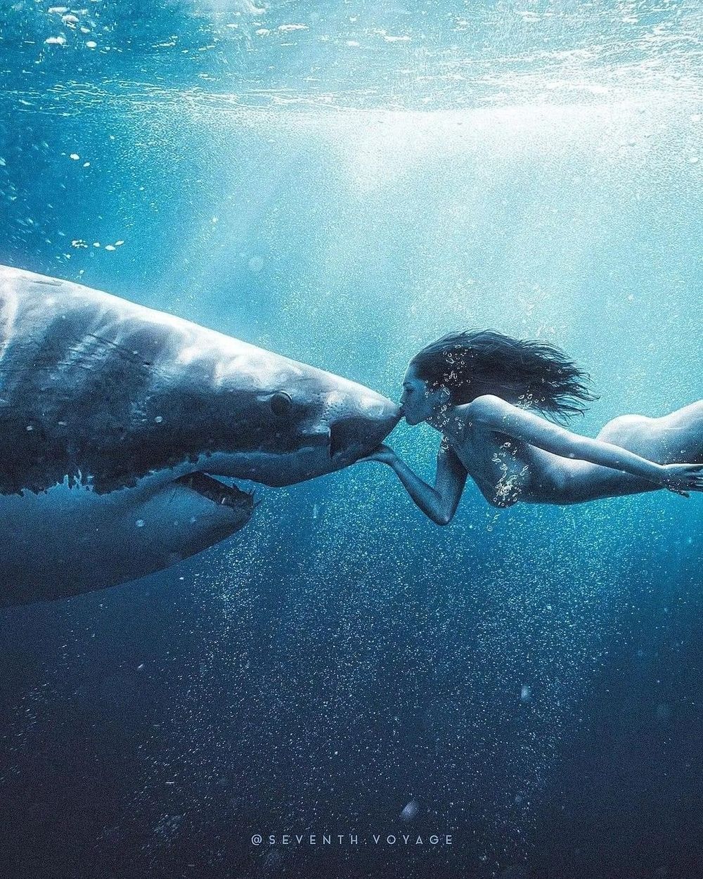 maeko.shark11 OnlyFans profile picture