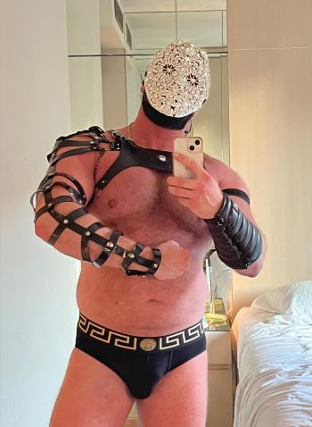 Macho Bull