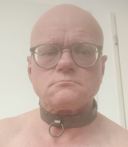 shumilis OnlyFans picture