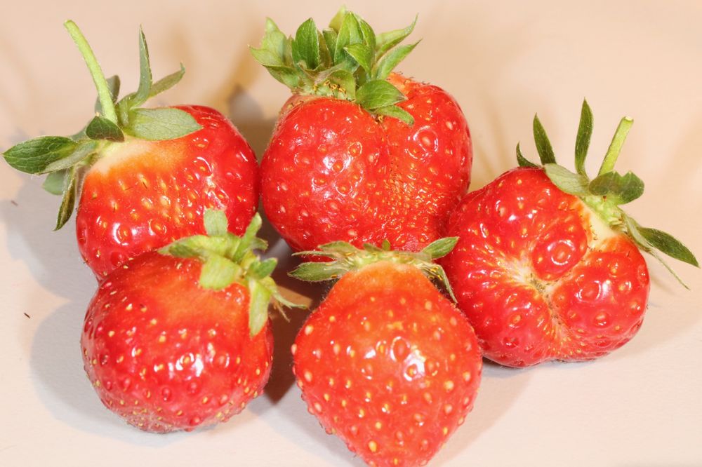 showerberries OnlyFans profile picture