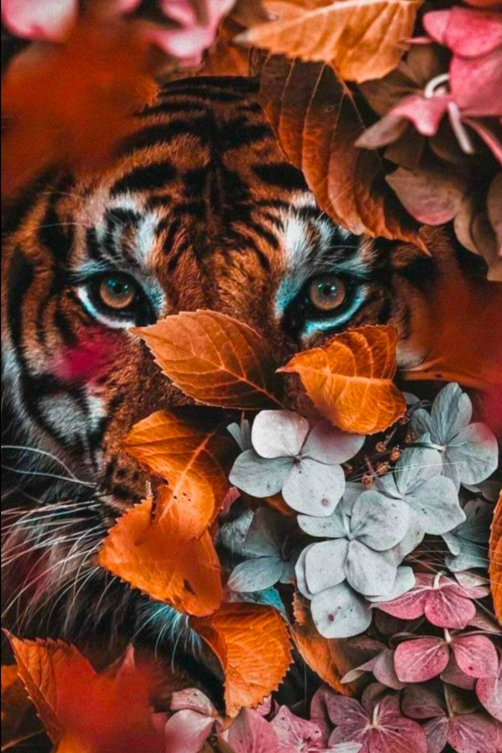 wmziidb OnlyFans profile picture