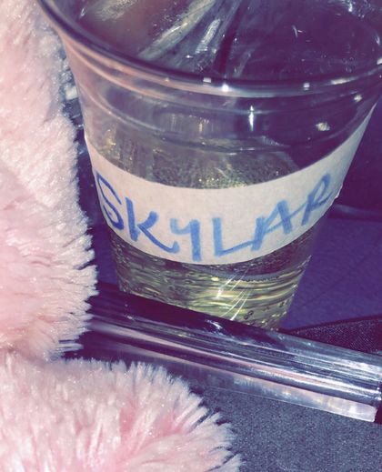skylaar OnlyFans picture