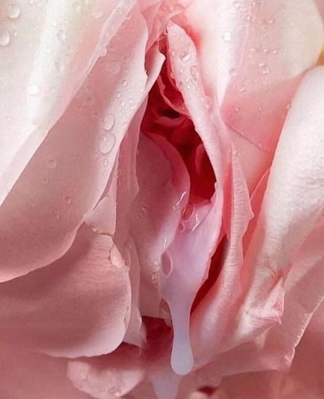 killshotsonly OnlyFans profile picture