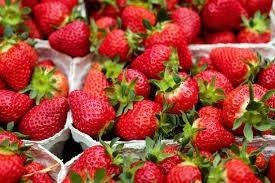 strawbearycreams OnlyFans profile picture
