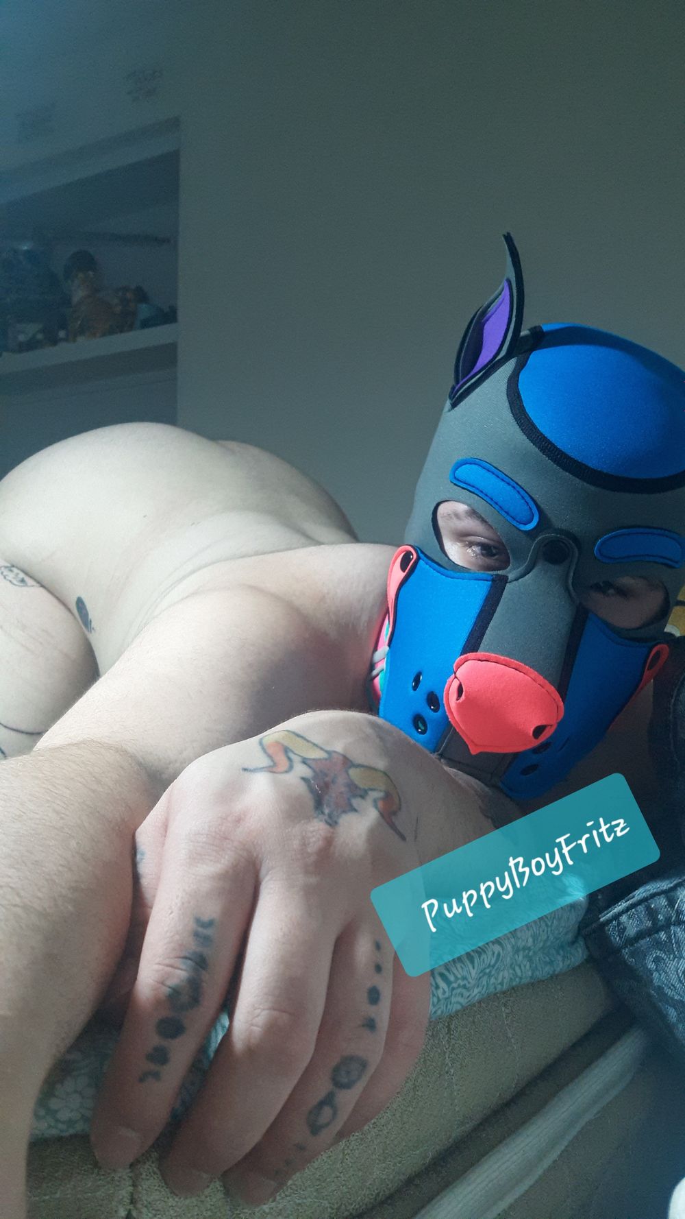 puppyboyfritz OnlyFans profile picture