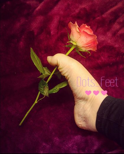 dottiesfeet OnlyFans picture