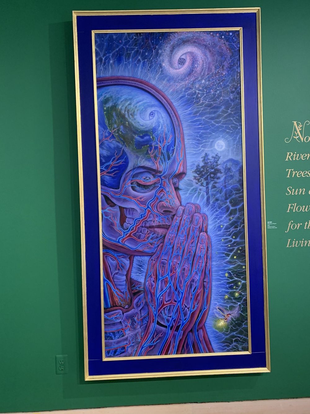 clearlychronicclaire OnlyFans profile picture