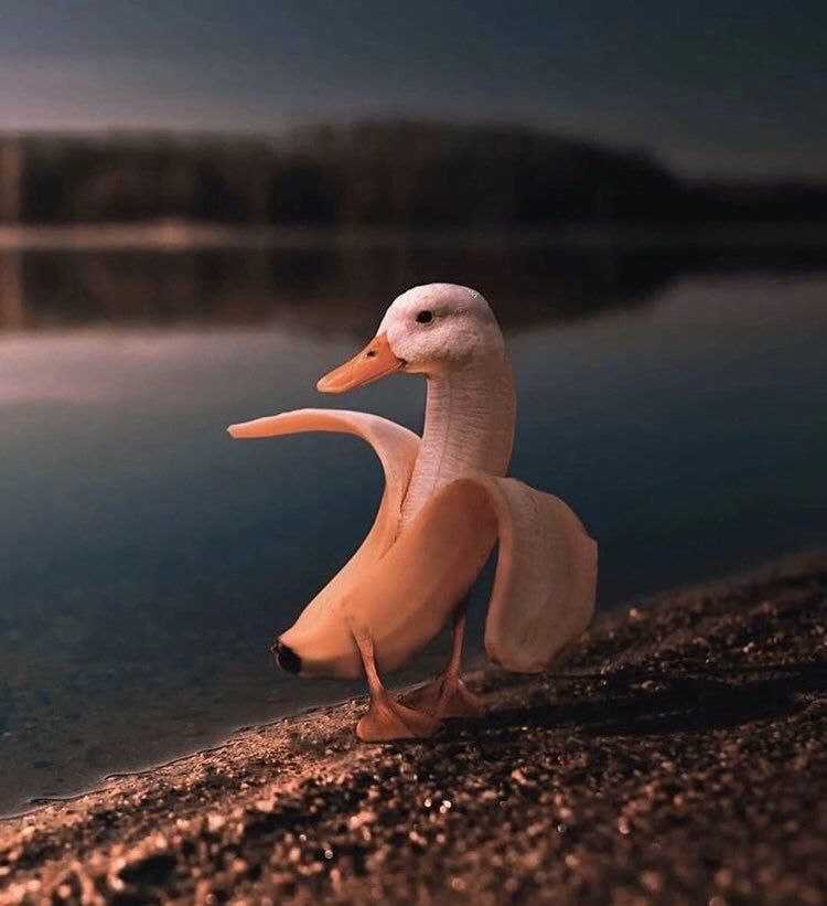 poggers43 OnlyFans profile picture