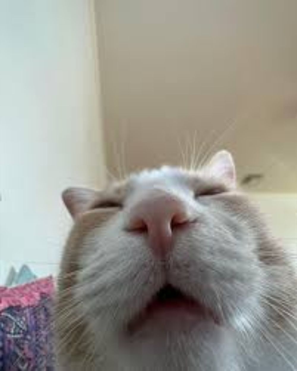 samanthnya OnlyFans profile picture