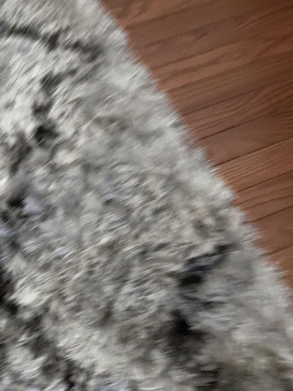 xxxfkyky OnlyFans profile picture