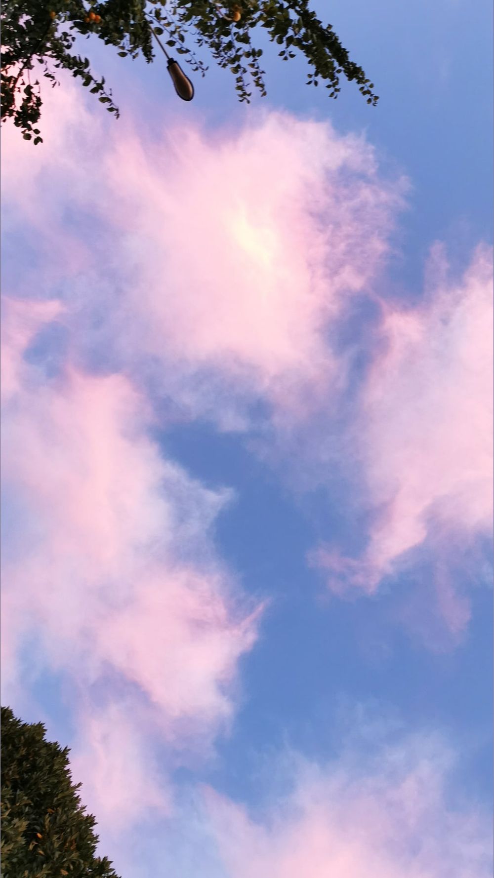 eveee.uwu OnlyFans profile picture