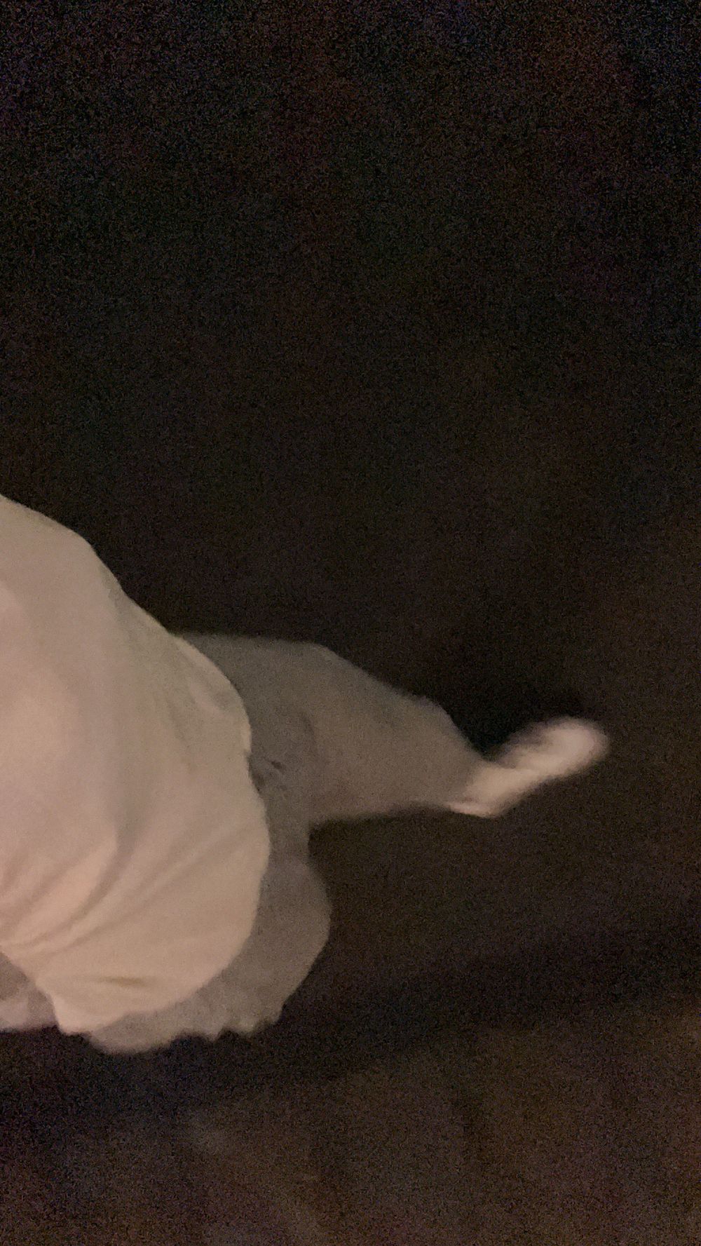 jangoescrazy OnlyFans profile picture
