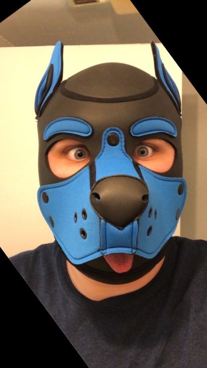 pup_beaux OnlyFans picture